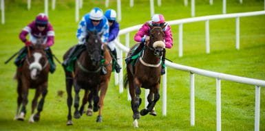 three horses racing on the track