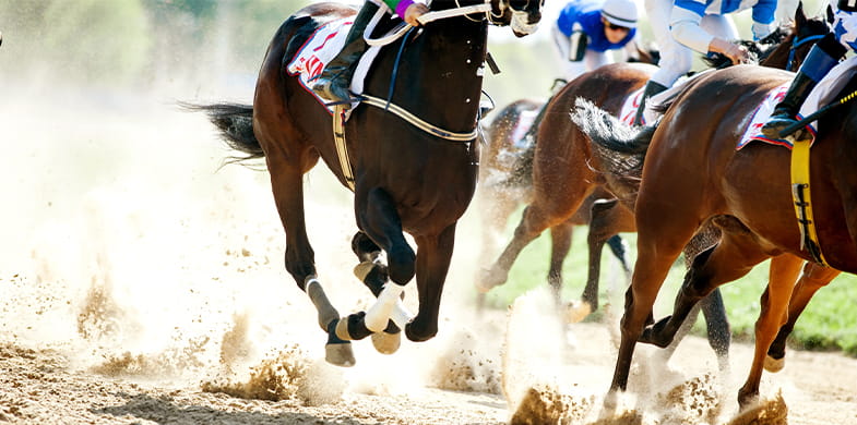 four horses racing
