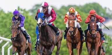 six horses on a track