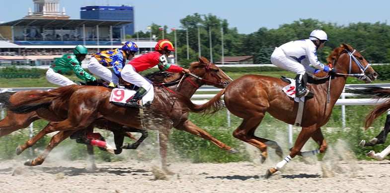 horses sprinting