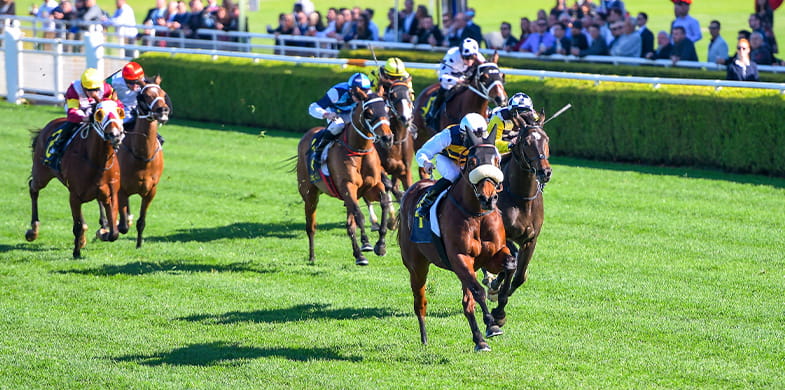 A picture of seven horses racing on a track with a crowd watching.