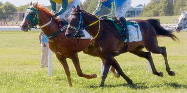 english local race