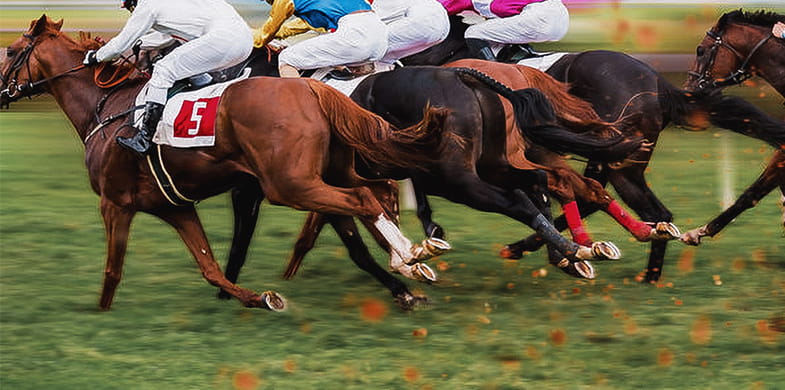 Five horses with jockeys are racing on a grass track.
