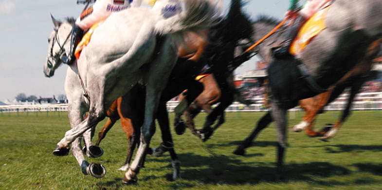 A close-up picture of five horse's feet while running
