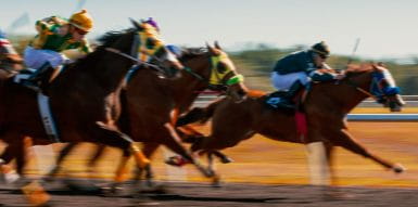 A picture of three horses racing on a dirt track.