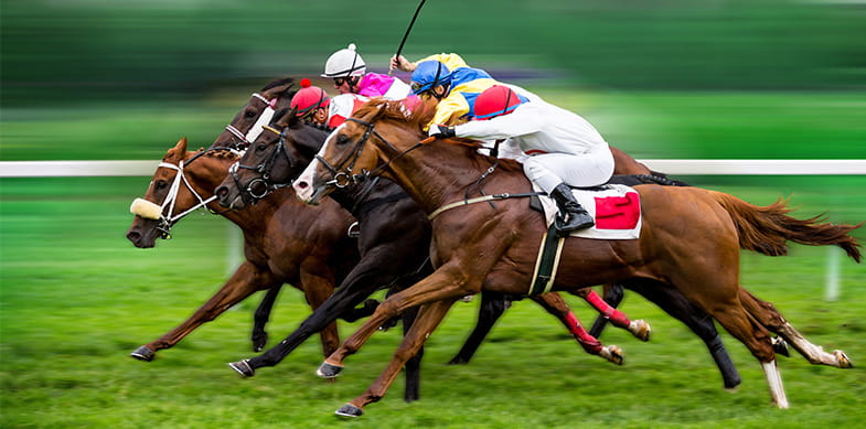 Three dark-coloured horses with jockeys racing on a grass track