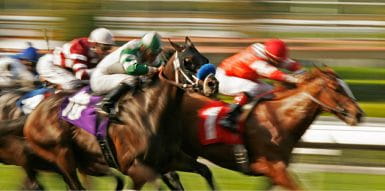 A picture of three horses running on a grass track.