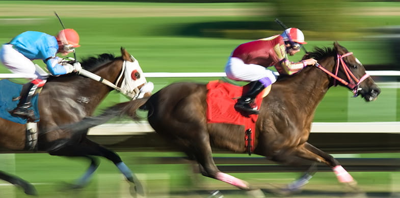 A picture of two horses and jockeys racing on a grass track