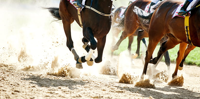A picture of the feet of three horses taking part in a race