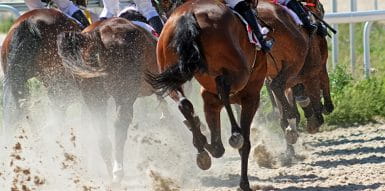 english local race