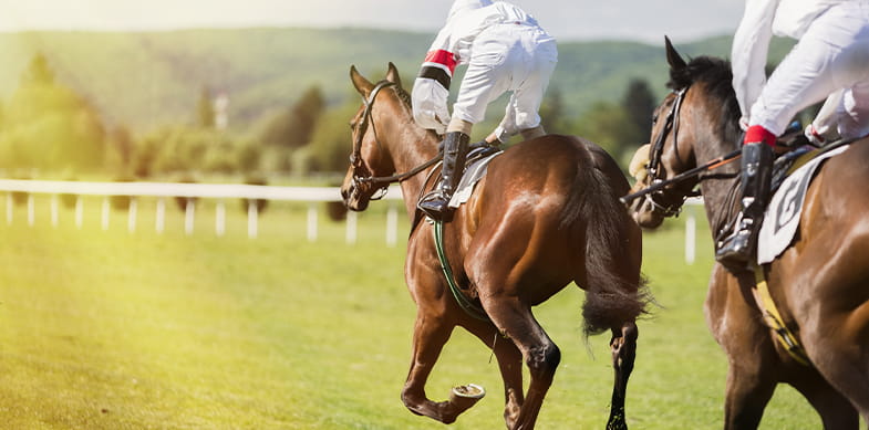 A horse with jockey on a track