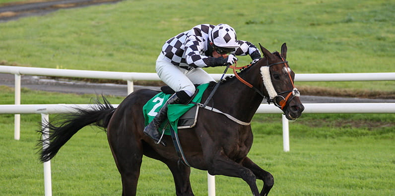 A dark brown horse racing on a grass track with a jockey