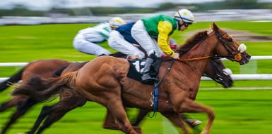 Three brown horses racing on a grass track