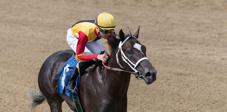 A jockey riding a dark brown horse on a dirt track