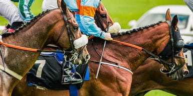 horse racing betting - Affordability checks debate
