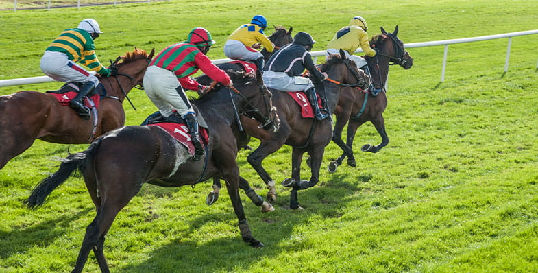 horse racing picture