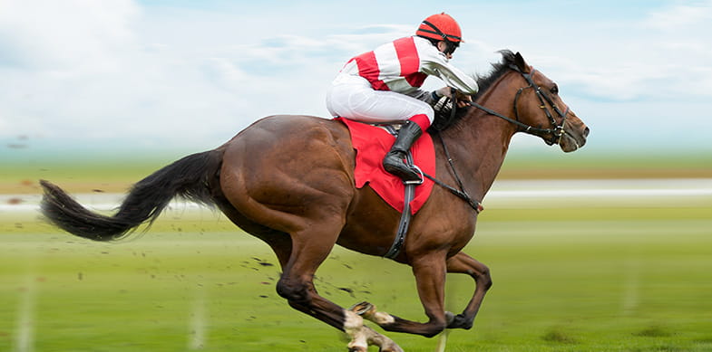 Horse racing on the track