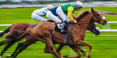 Track racing with horse and jockey