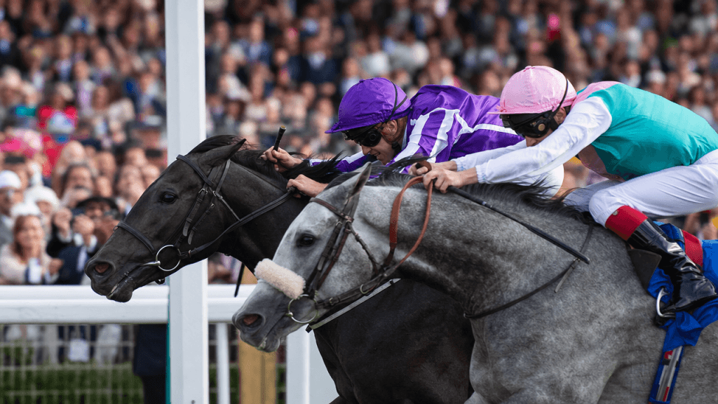 Close finish at a British racecourse